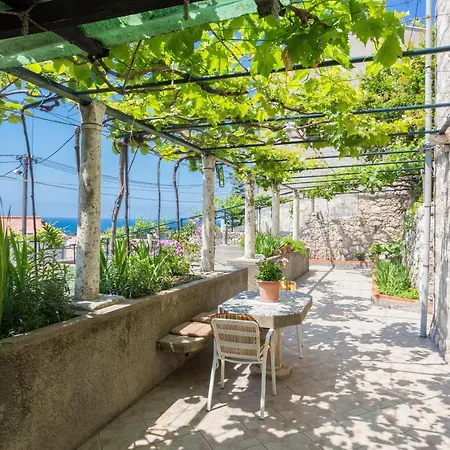 Perovic Dubrovnik